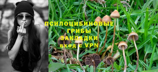 прущая мука Абинск